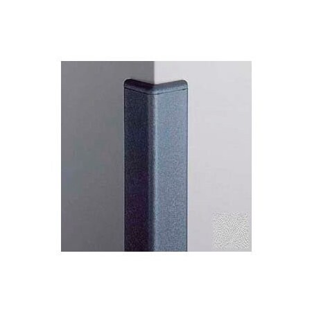 Pawling Surface Mounted Corner Guard 90Deg, 2'' Wings, 12' Height W/Caps, Silver Gray CG-20-12-210